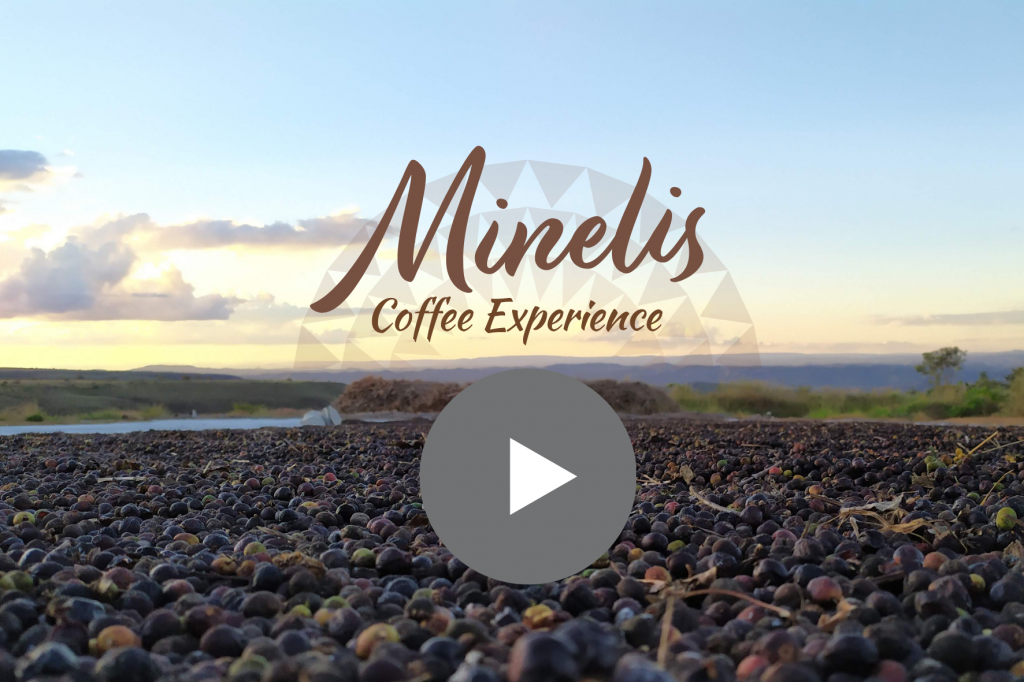 Minelis Coffee Experience (3)
