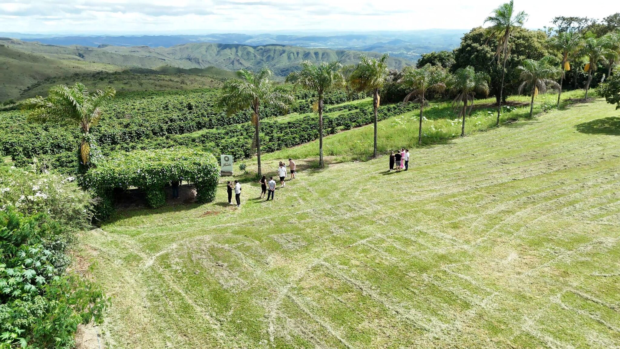 Vista aérea da Fazenda do Café Minelis